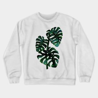 Green Monstera Plant Crewneck Sweatshirt